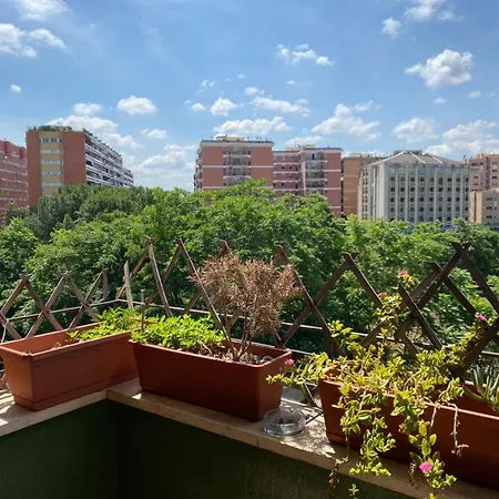 Roma's Home! Roma